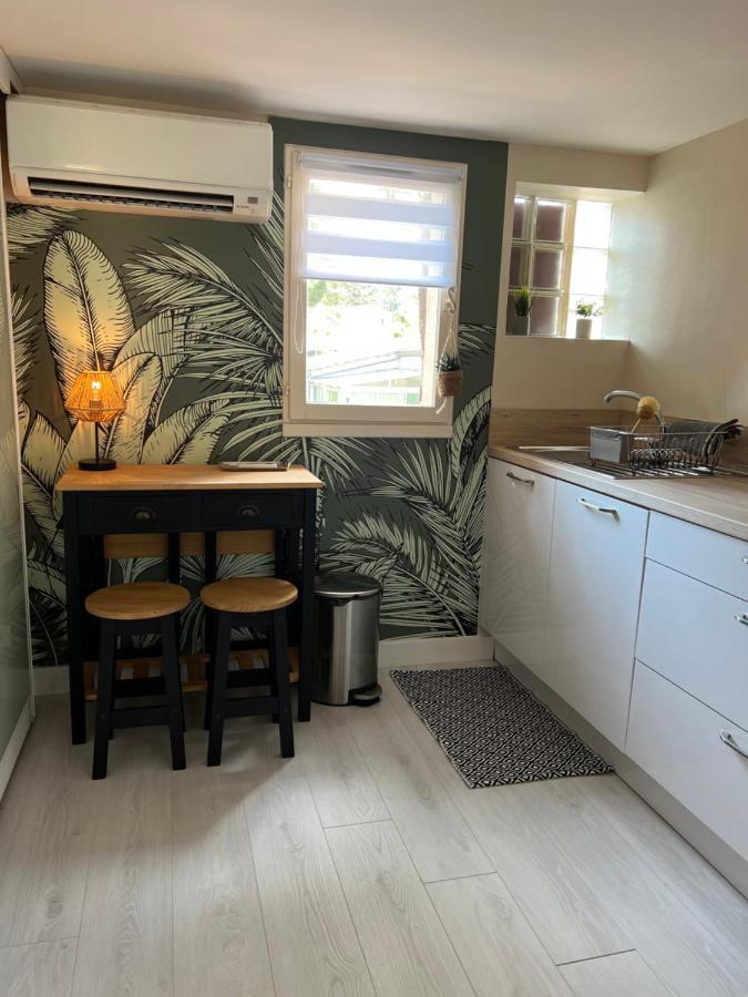 Appartement Proche Village Naturiste, Terrasse Et Parking Agde Eksteriør bilde